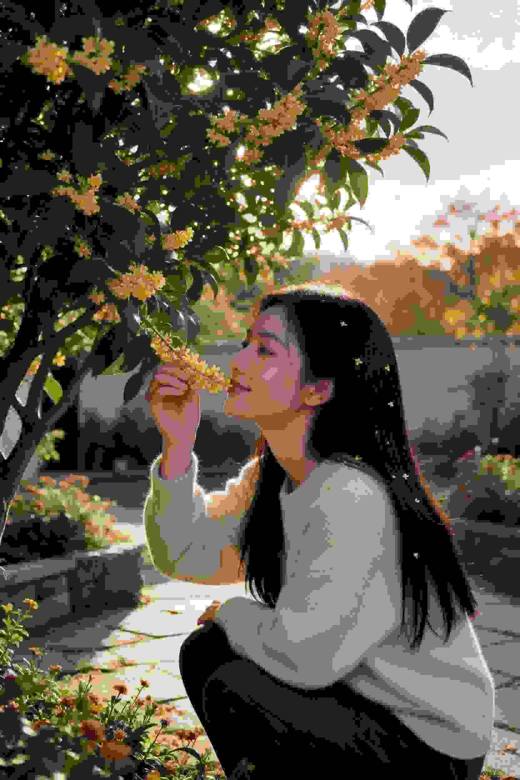 幽梦芙蓉